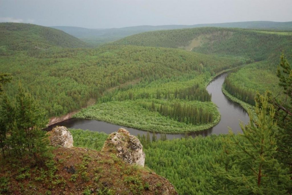олекминский заповедник