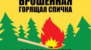 костры в лесу