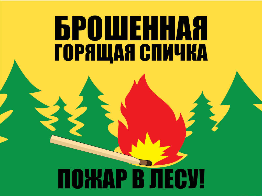 костры в лесу